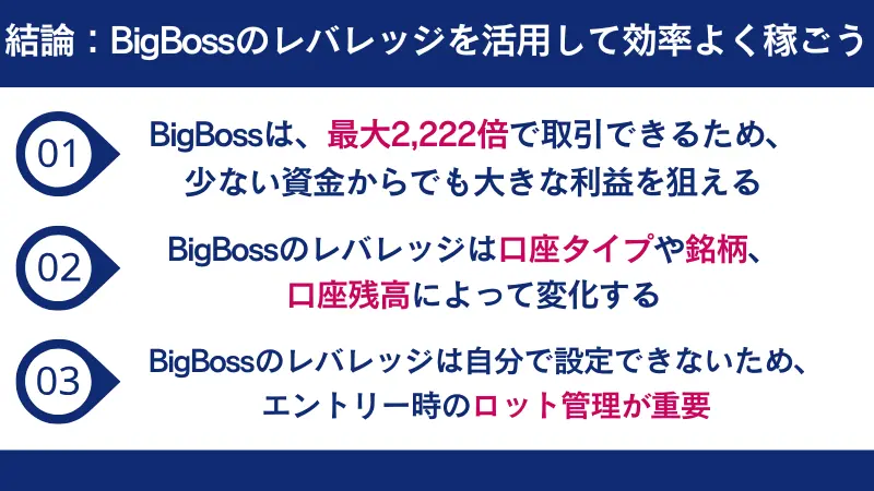Bigbossのレバレッジのまとめ画像